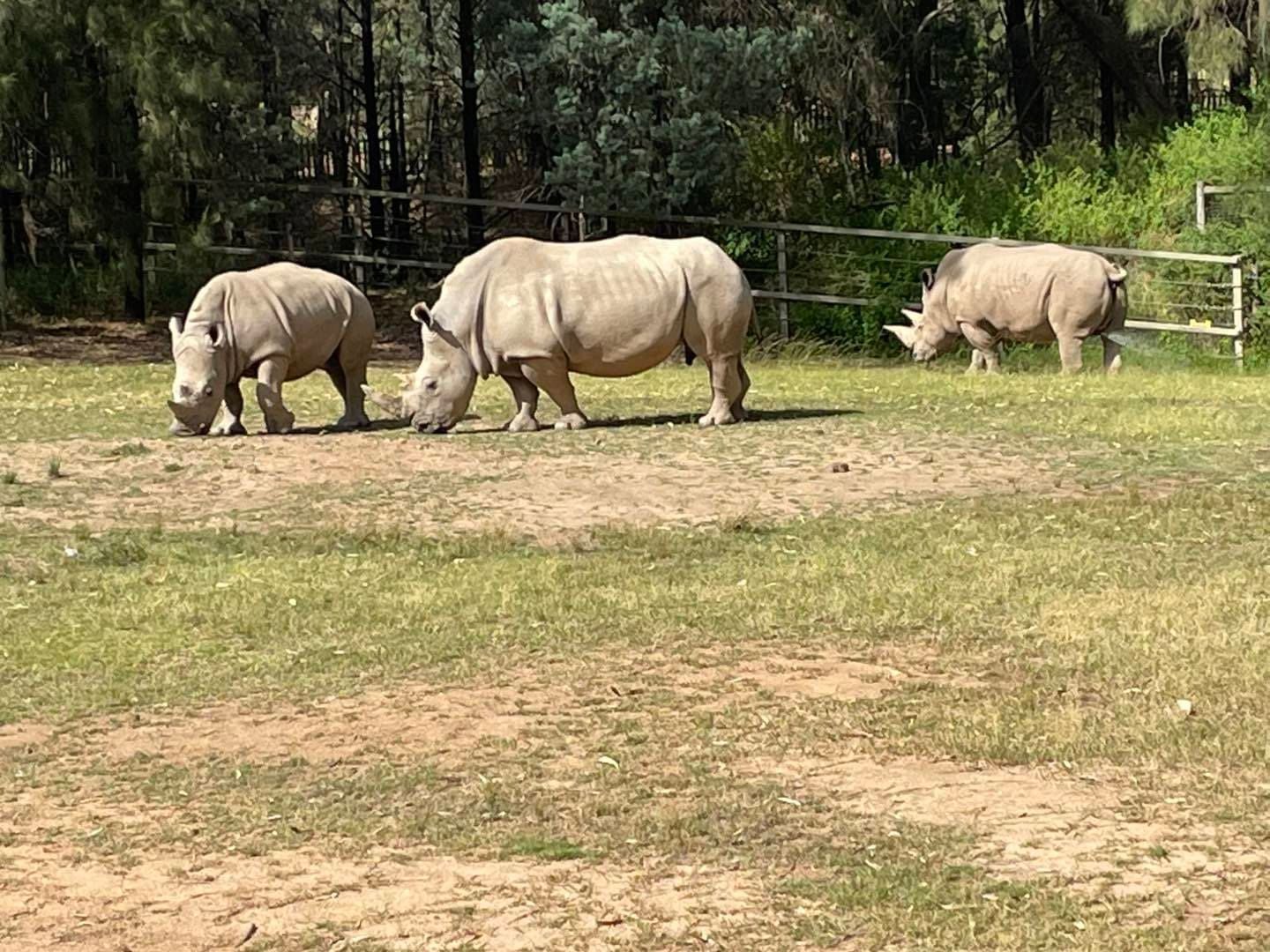 Dubbo Zoo 2025 Image -67de04a7cfc7a